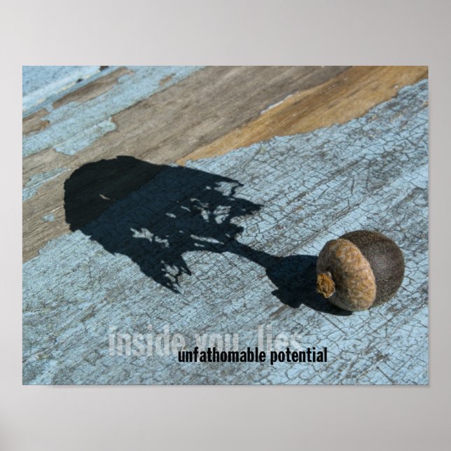 Poster potencial (Frente)