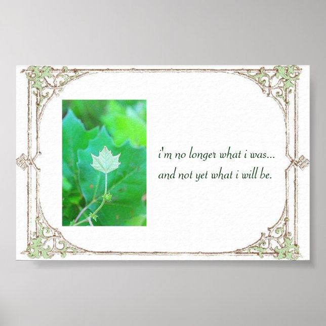 Pôster Potencial (Frente)