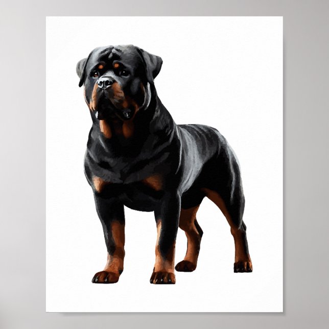 Poster Potente postura rottweiler - Cheio Negrito - Cacho (Frente)