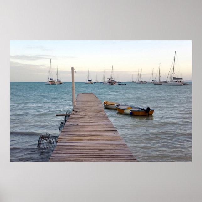 Poster Potes de aves e lagostas (Frente)