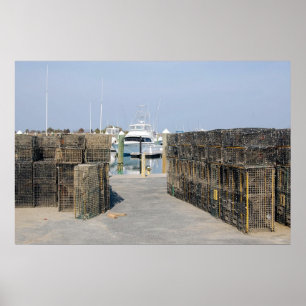 Pôster Potes de caranguejo