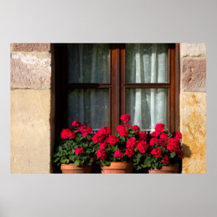Pôster potes de flores de janela na aldeia