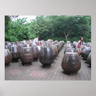 Pôster Potes Kimchi