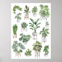 Potted Plant Collection 5