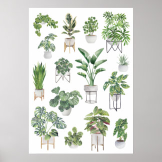 Poster Potted Plant Collection 5