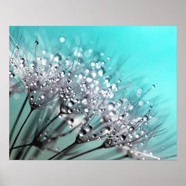 Poster Pouco Espumante Dandelion Aqua Fundo Ciano (Frente)