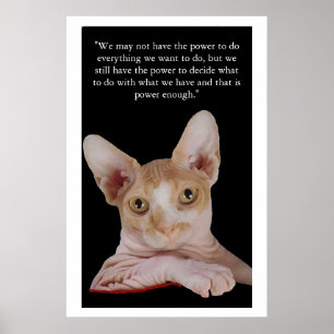 Pôster "Power To Decide"