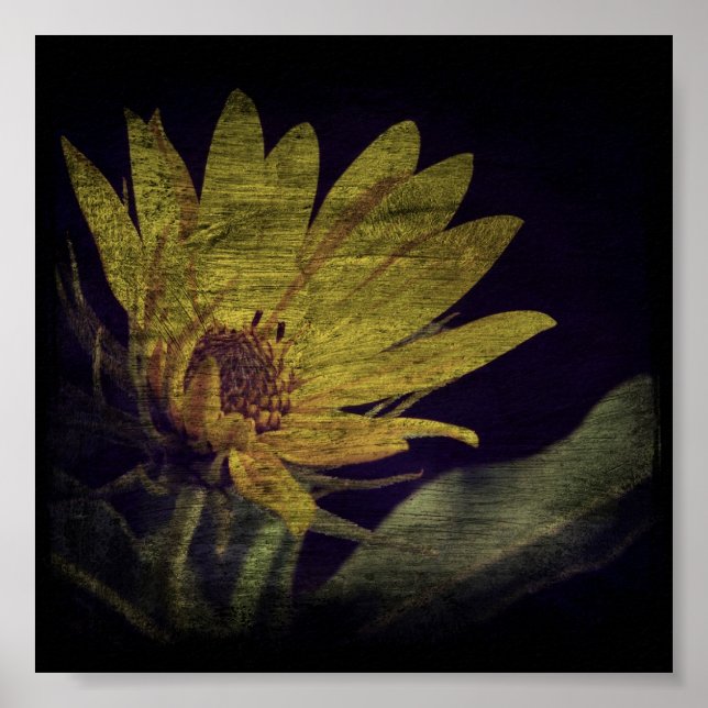 Pôster Praça de Flores Selvagens (Frente)