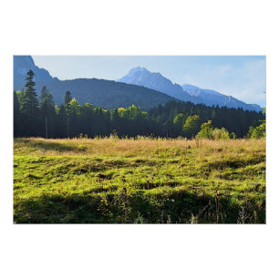 Pôster Prado da Montanha Verde – Natureza Selvagem Romêni