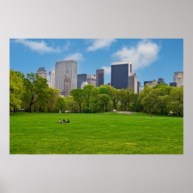 Poster Prado das Ovelhas na Primavera (Frente)
