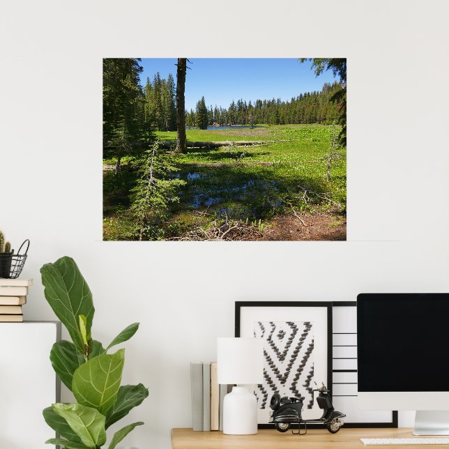 Poster Prado de Yosemite com Estrelas Cadentes (Escritório em casa)