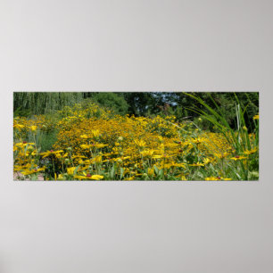 Poster Prado do Wildflower panorâmico