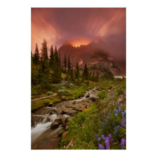 Pôster Prados Encantados