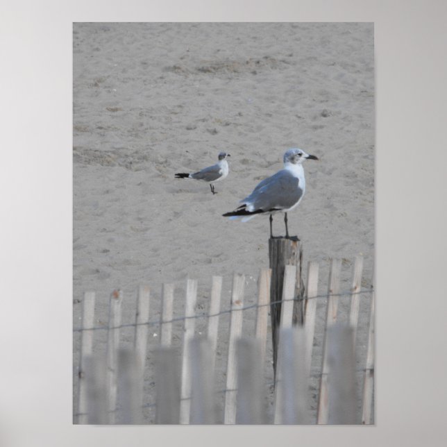 Pôster Praia ~ 25,5 (Frente)