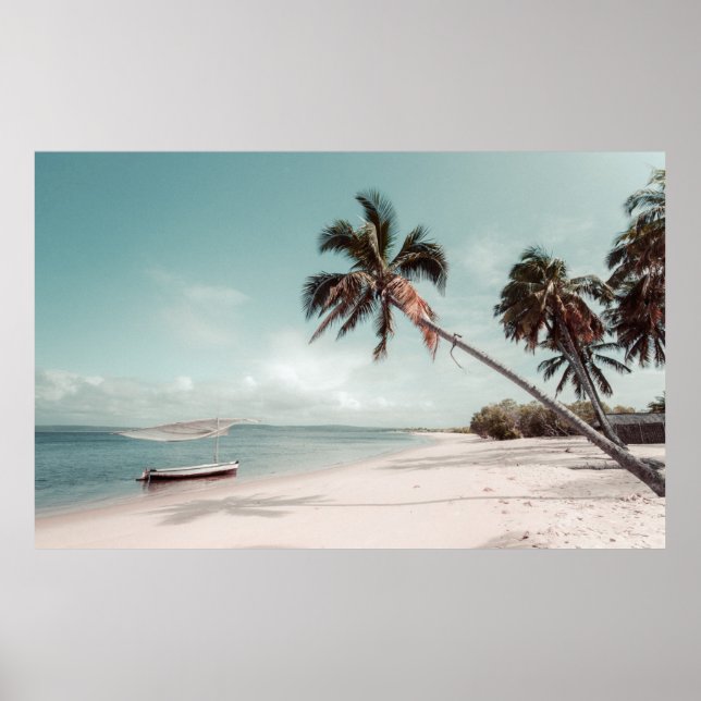Poster Praia ao lado da palmeira de coco (Frente)
