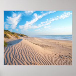 Poster Praia Arenosa