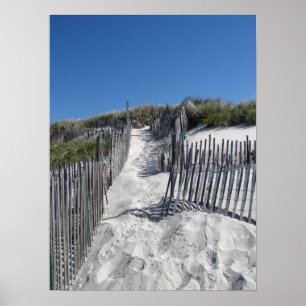 Pôster Praia Cape Cod de Chapin