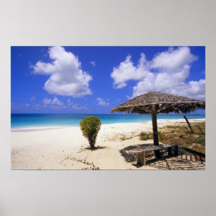 Pôster Praia Coco Point, Barbuda, Antigua