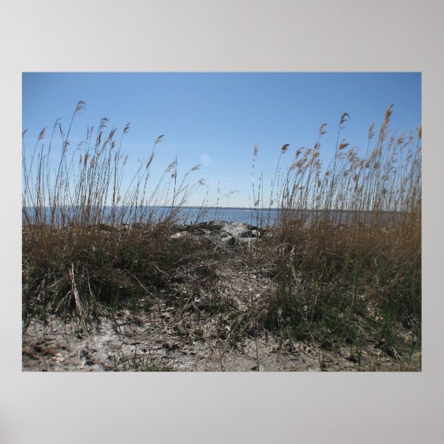 Poster Praia Colonial 1 (Frente)