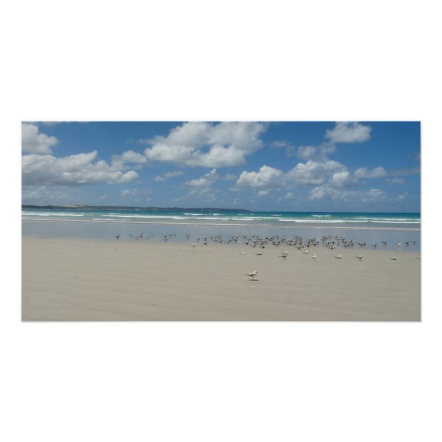 Pôster Praia com gaivotas (Frente)
