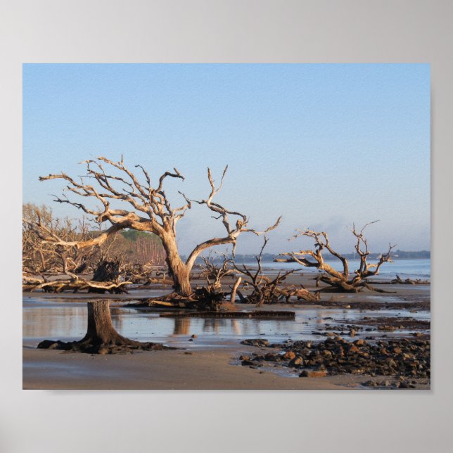 Poster Praia da Driftwood (Frente)