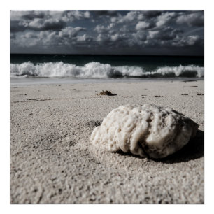 Pôster Praia de Black&White