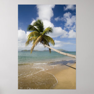 Pôster Praia de Coconut Grove na Baía de Cades, com Ruas