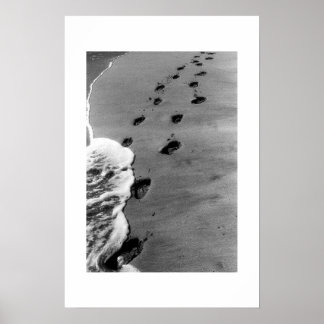 Pôster Praia de Ka'anapali