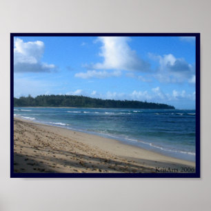 Pôster Praia de Laie