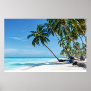 Poster Praia de Palma Exótica Turquesa Ensolarada Paraíso