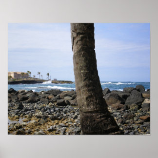 Poster Praia de Porto Rico por RZB
