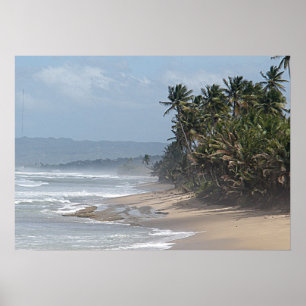 Pôster Praia de Puerto Rico