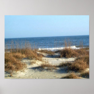 Pôster Praia de Tybee