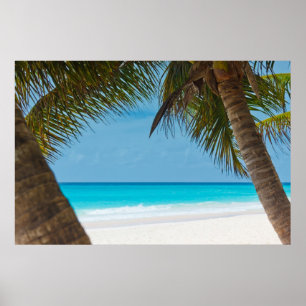 Poster Praia do Paraíso Tropical Perfeita