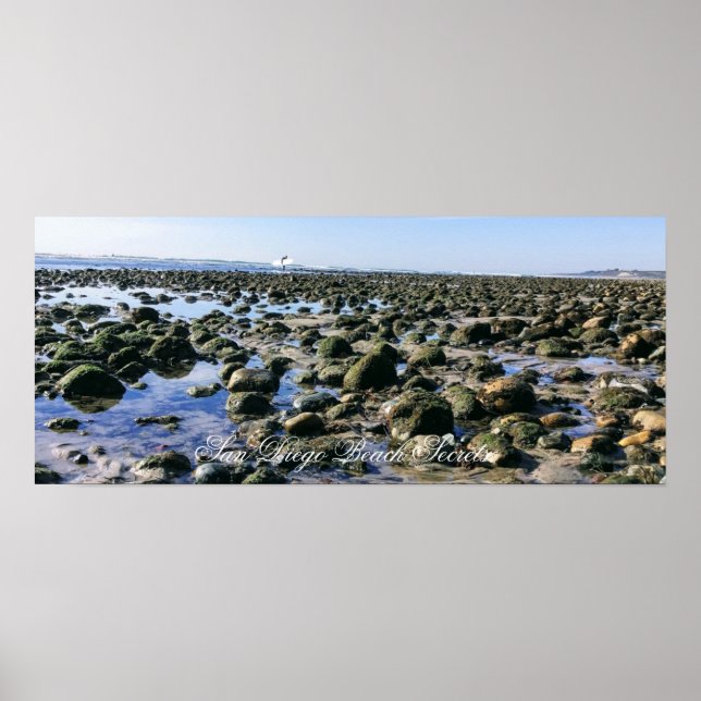 Poster Praia do Velho Homem - Praia do Estado de San Onof (Frente)