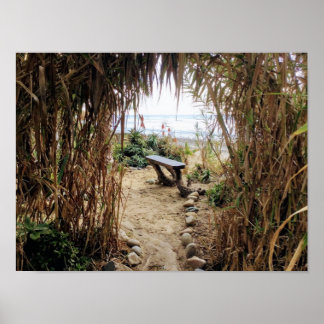 Poster Praia do Velho Homem - Praia do Estado de San Onof