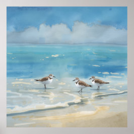 Poster Praia dos maçaricos oceano