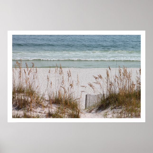 Pôster Praia e Oceano (Frente)