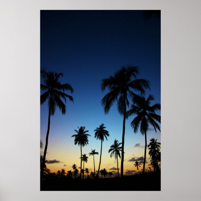 Pôster Praia E Vila Costeira | Praia Do Forte (Frente)