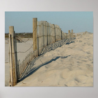 Pôster Praia em Assateague
