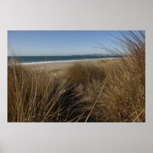 Pôster Praia Limantour em Point Reyes National Seashore I