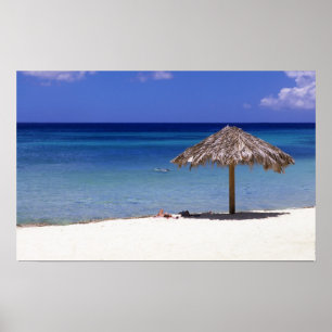 Poster Praia Malmok, Aruba, Antilhas Holandesas