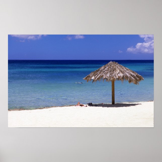 Poster Praia Malmok, Aruba, Antilhas Holandesas (Frente)