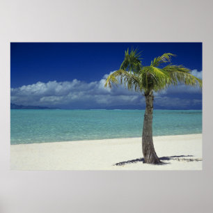 Poster Praia Matira na ilha de Bora Bora, 2