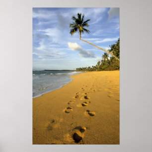 Poster Praia Porto Rico