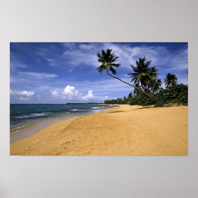 Pôster Praia Porto Rico 2 (Frente)