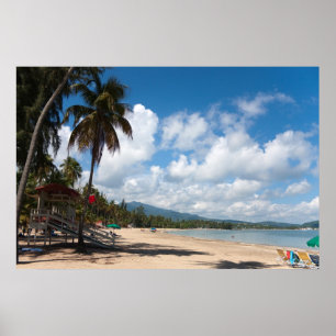 Pôster Praia Puerto Rico de Luquillo