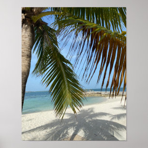 Poster Praia Sunny nas Bahamas