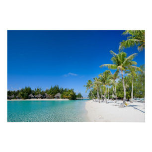Pôster Praia tropical
