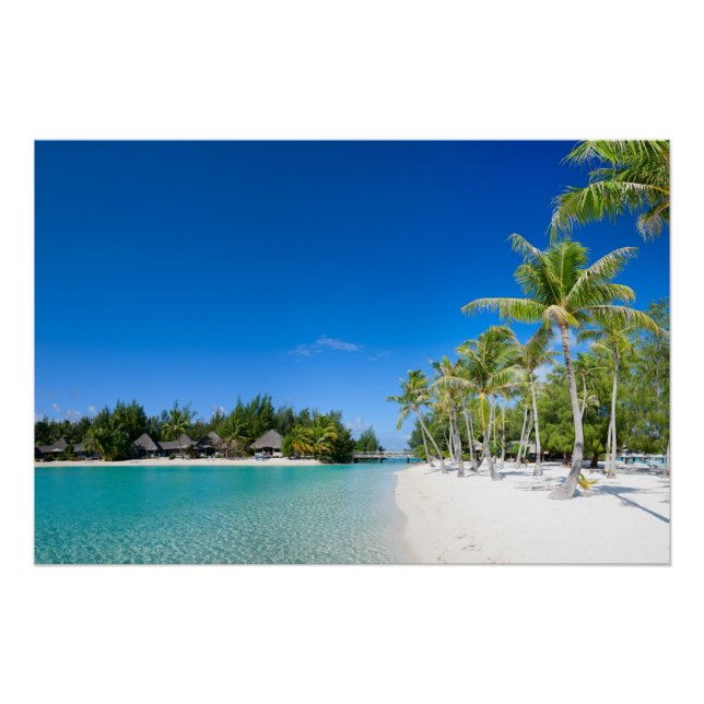 Pôster Praia tropical (Frente)